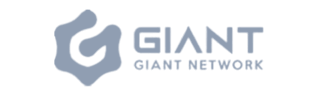WebRTC Partner logo
