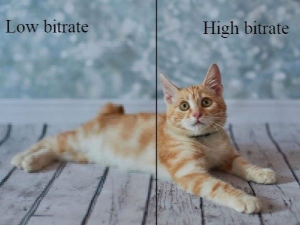 Importance of Bitrate