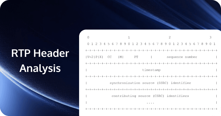 RTP Header Analysis